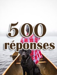 500 réponses Cover